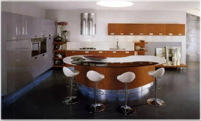 Кухня Aster Cucine Domina 8