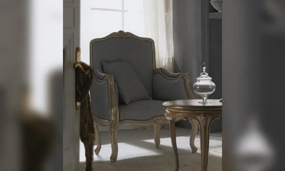 Кресло Grifoni Silvano Living Room 4 - фото 1