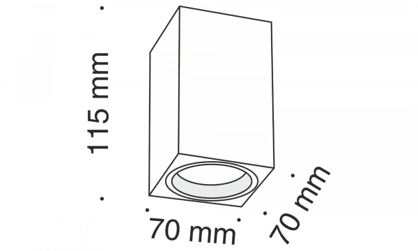Потолочный Светильник Technical C011Cl-01W