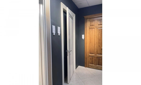 Межкомнатнатная дверь Астродорс Гранд-1