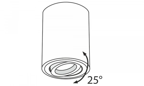 Потолочный Светильник Technical C016Cl-01W