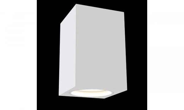 Потолочный Светильник Technical C011Cl-01W