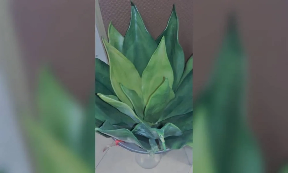 Ветка OAKOM - фото 1