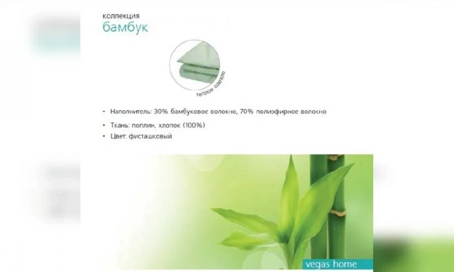 Одеяло Вегас Бамбук 300Г\М2 200*220 - фото 1