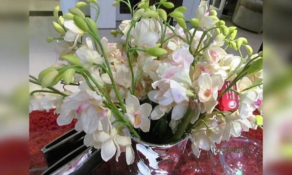 Орхидея Oakom - фото 1