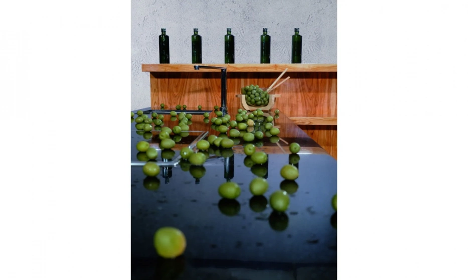 Кухня Virs New Line Olive - фото 4