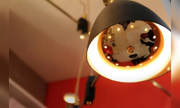 Люстра Delightfull Duke