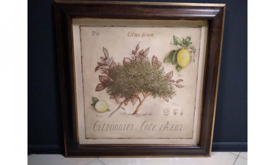 Картина Decor Toscana - фото 1