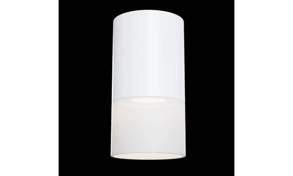 Потолочный Светильник Technical C007Cw-01W